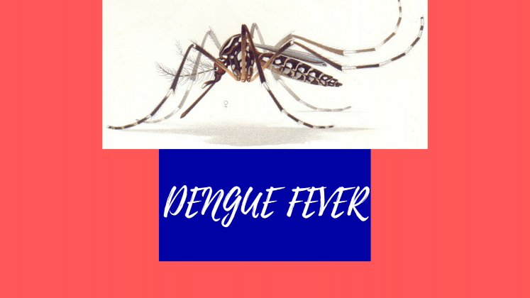Featured image for dengue fever case studies