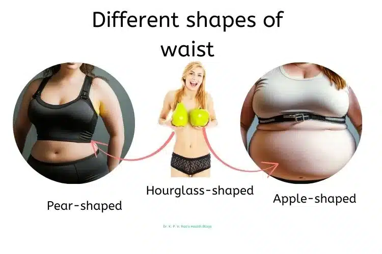 Different waist shapes that contributes to waist hip ratio 