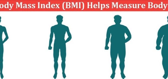 bmi measures body fat 3
