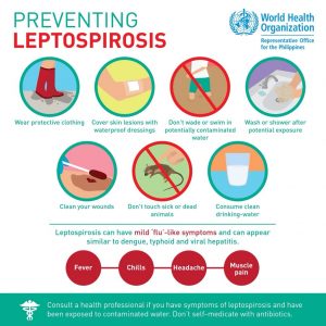 Preventing leptospirosis 