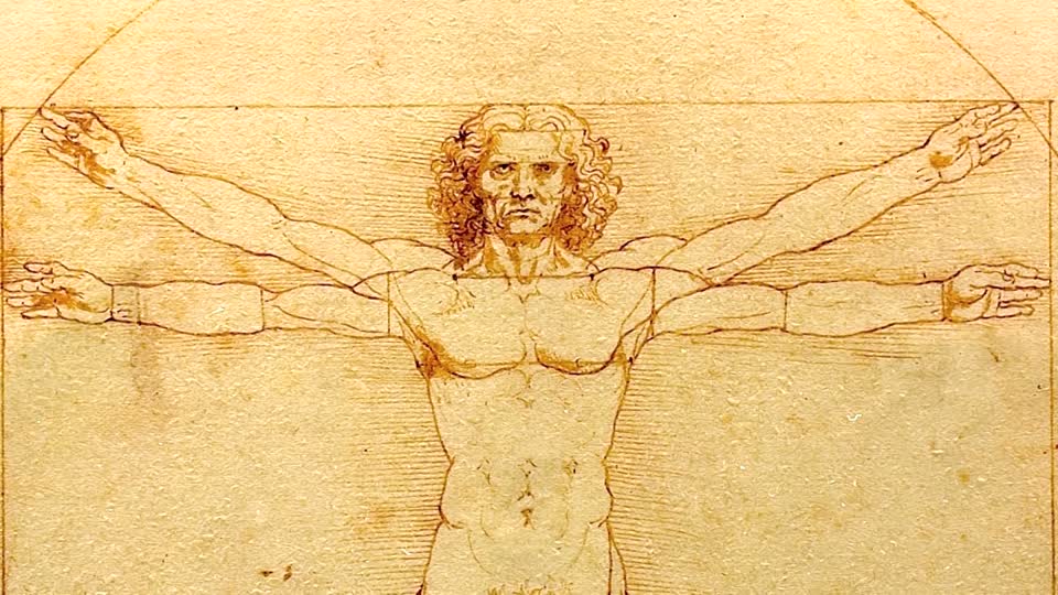 uomo vitruviano leonardo da vinci particolare