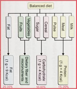 Image showing components of a balanced diet to control diabetes.