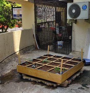 My squarefoot garden being developed during early days of the covid-19 lockdown