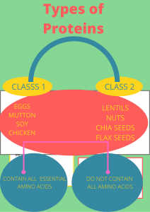 Types of proteins