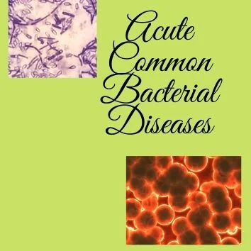 Acute bacterial disease categories 4