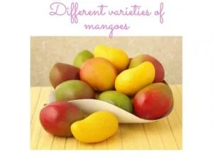 Different varieties of mango fruits