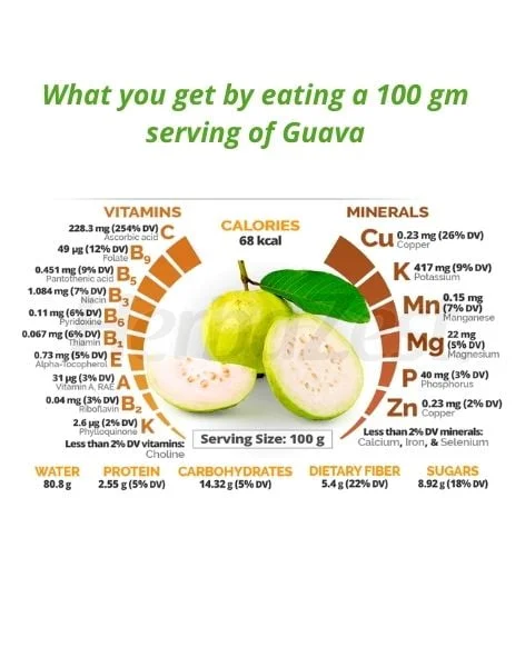 Guava-the poor man's apple-fruits to help you get great health