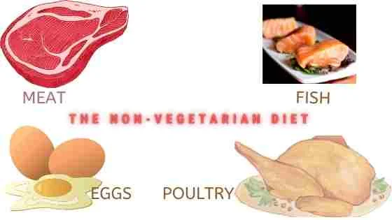 Non-Vegetarian Food Items