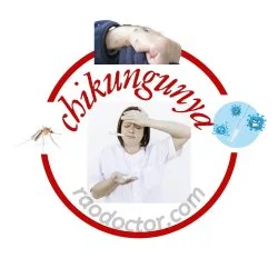 Chikungunya feature image