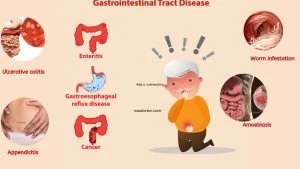 Picture showing various gastro-intestinal diseases
