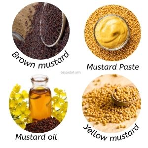 Mustard seeds in spices