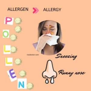 Pollen is one of the causes of allergies