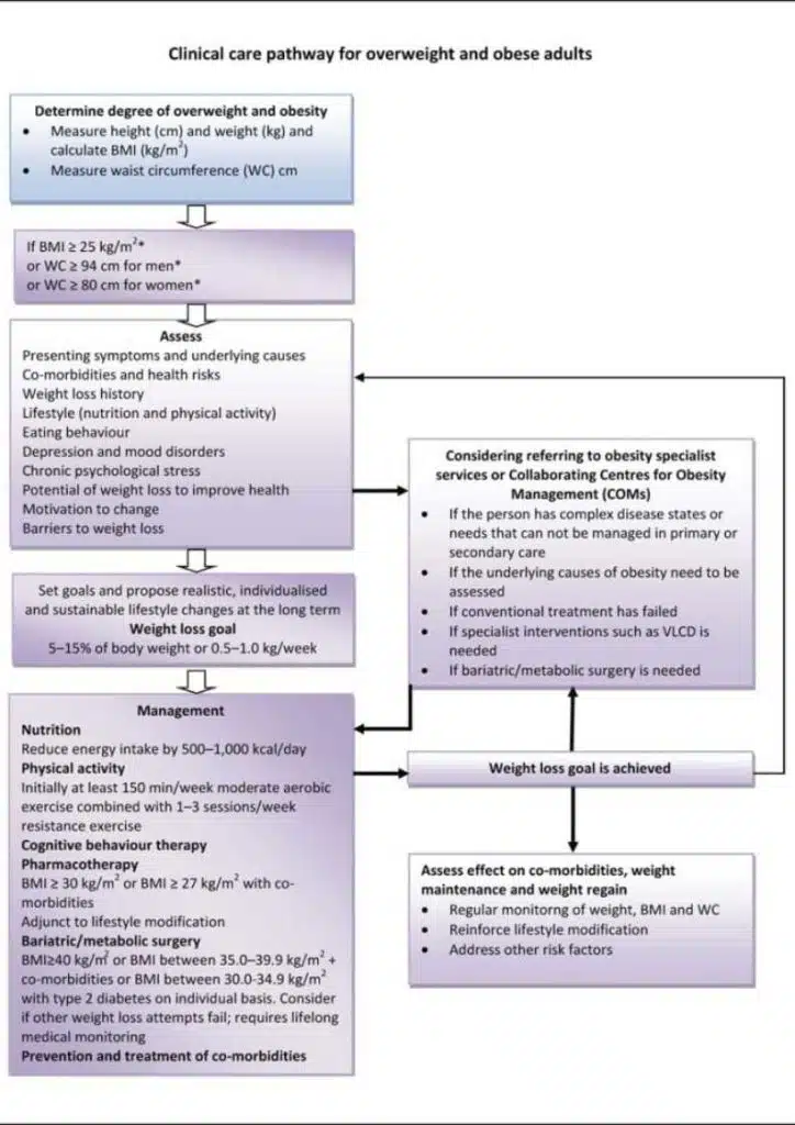 Algorithm for obesity management.