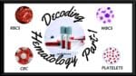 Featured image for Hematology tests article