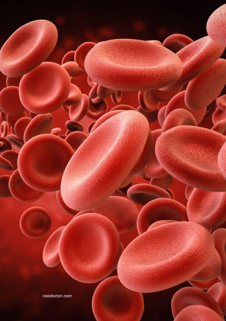 Red blood cells in hematological tests