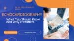 Featured Image for the article -Echocardiography