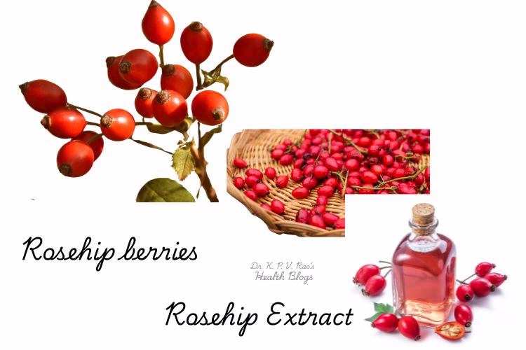 Rosehip Extract Review: What You Need to Know 1 Image showing rosehip extract in a bottle derived from rosehip berries