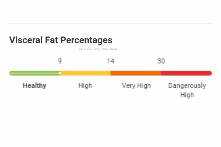 Understanding Visceral Fat: Its Risks and Management 2 Visceral fat measurement 2